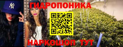 прущая мука Будённовск
