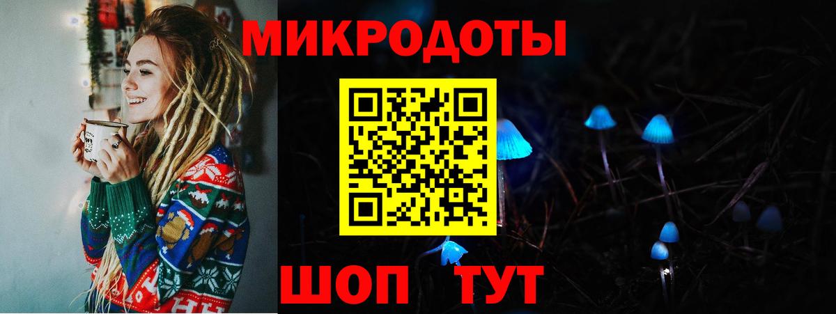 Боровичи  Псилоцибиновые грибы ЛСД  Вход с VPN  Галлюциногенные грибы ЛСД 